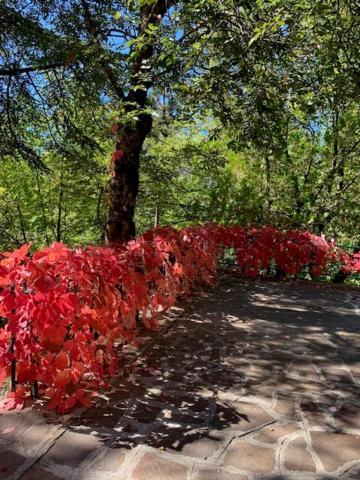 Esclusivo Chalet Immerso Nel Verde Filettino Εξωτερικό φωτογραφία